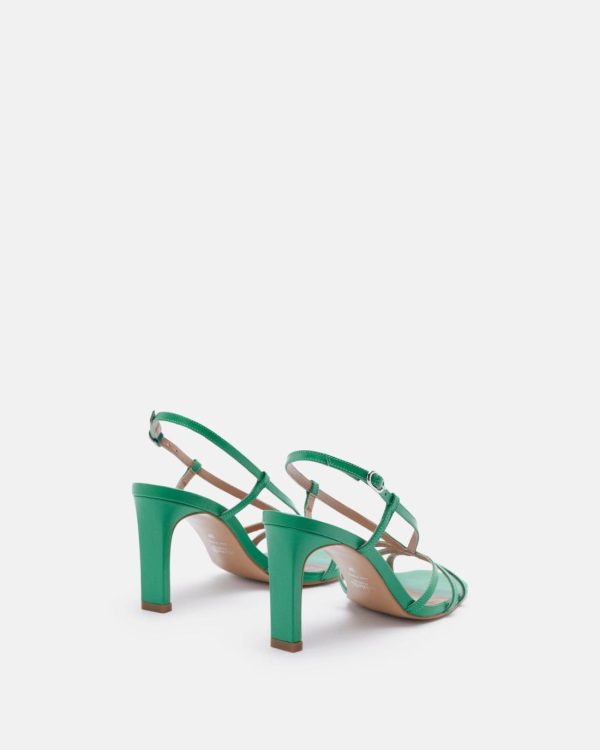 Wavepace.shop11e2ed692d 3