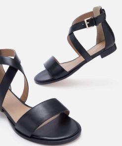 Wavepace.shop5154431e92 4