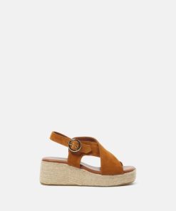 Wavepace.shop52725df98d 1