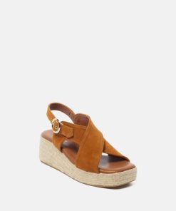 Wavepace.shop52725df98d 3