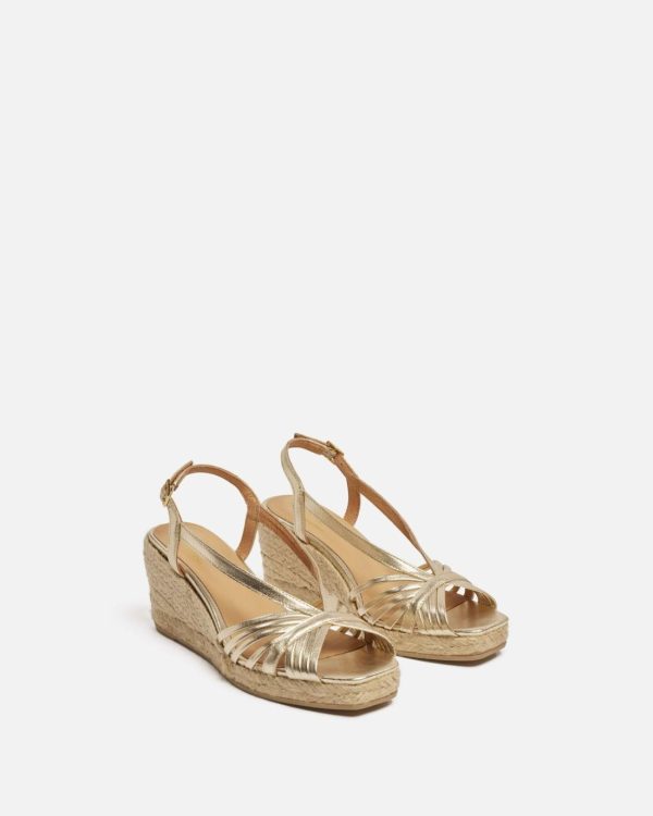 Wavepace.shopfeb8e7f5d2 2